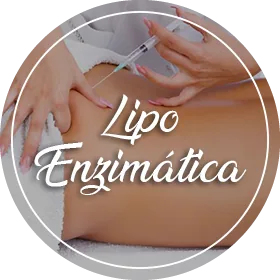 Lipo Enzimática